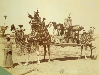 Bridal Palanquin, Cairo, Egypt, c.1878 by English Photographer